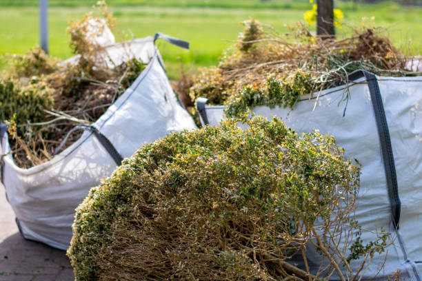Best Junk Removal Near Me  in Tsaile, AZ